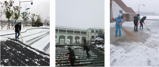 以雪为令 打响除雪攻坚战